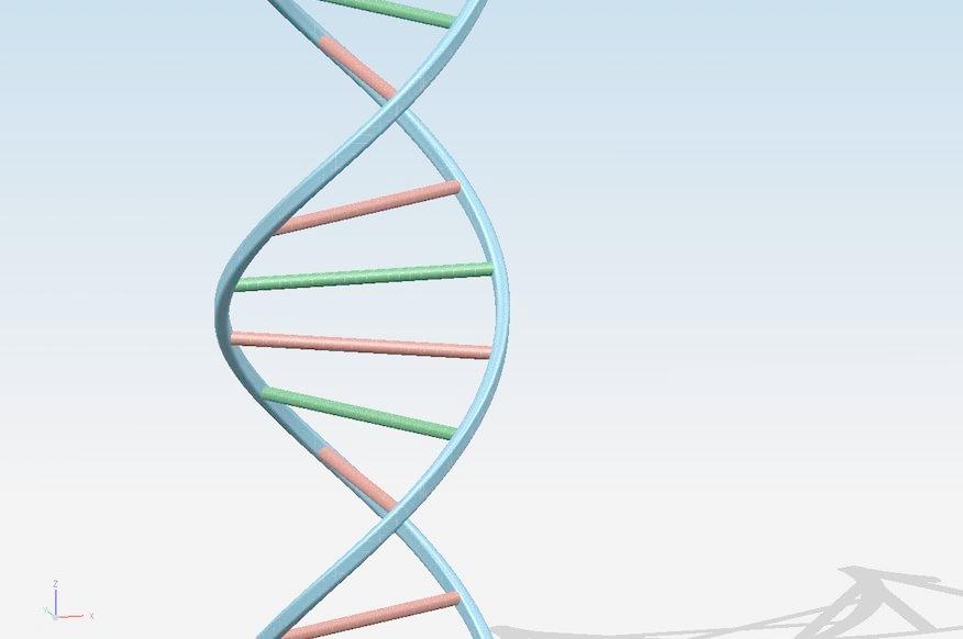 分子生物学实验答案