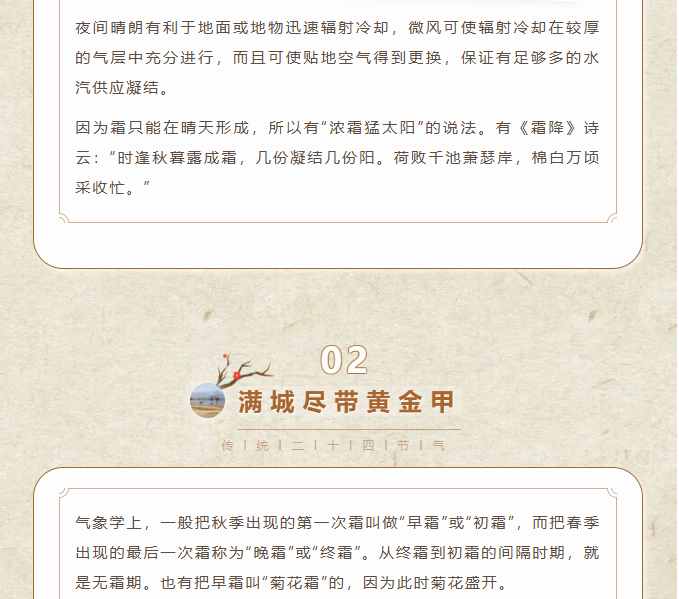 image.png?v=1762073929220