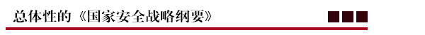 总体性的《国家安全战略纲要》.png