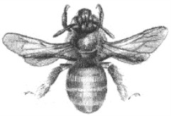 pagenumber_ebook=33,pagenumber_book=17