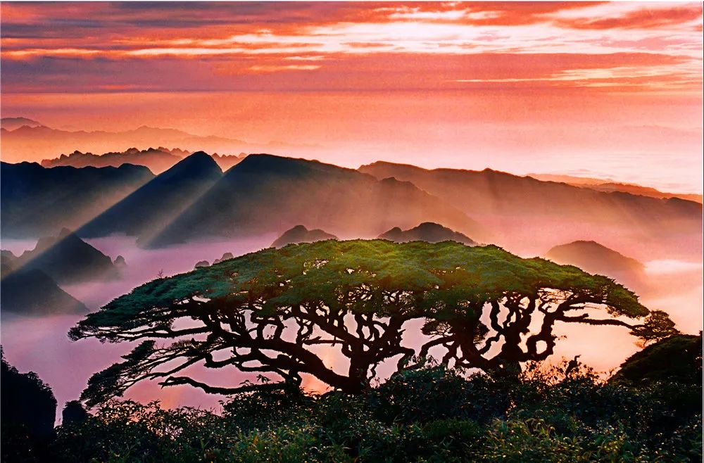 圣堂山2 圣堂山2.png