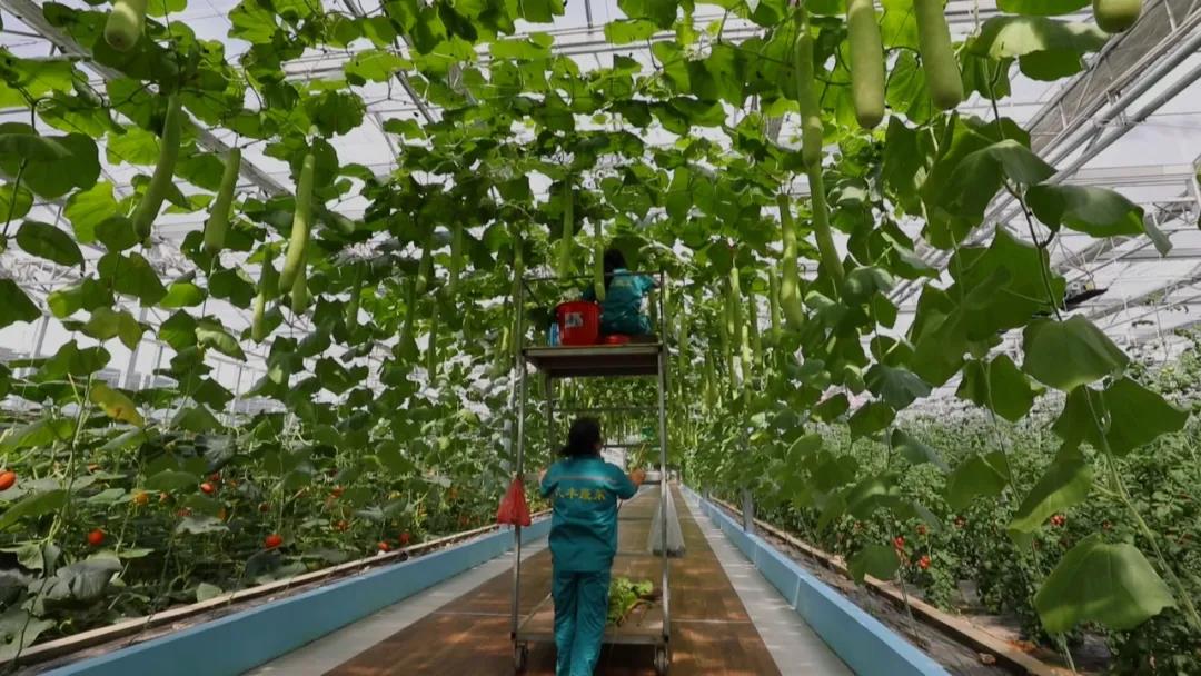 微信图片_20210910172527 微信图片_20210910172527.jpg