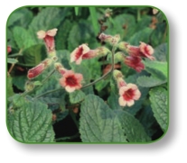 pagenumber_ebook=275,pagenumber_book=262