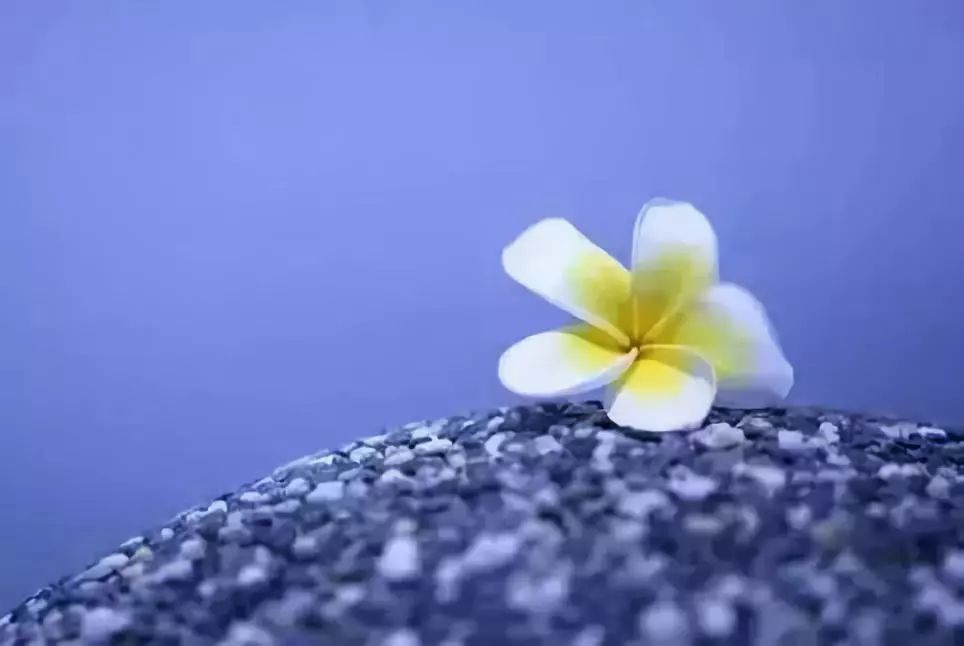 fcc61901aba6d1b820db9e10e5b54125 fcc61901aba6d1b820db9e10e5b54125.jpg