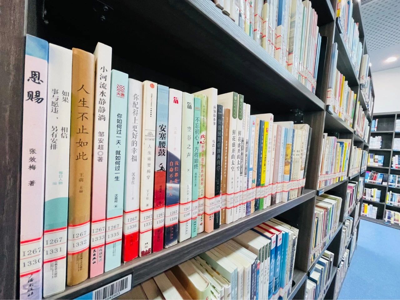 ba10edab9e271edf53e71628b3221416 ba10edab9e271edf53e71628b3221416