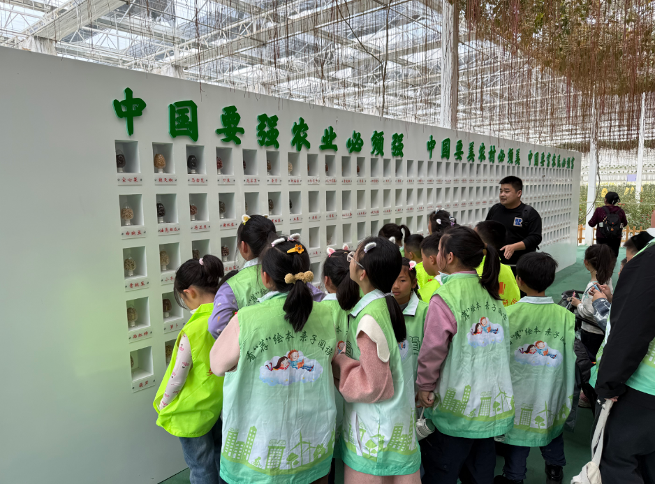 76e4ab95-fbed-4aaf-9b32-8c8a94ec67a2.png?v=1776218145071