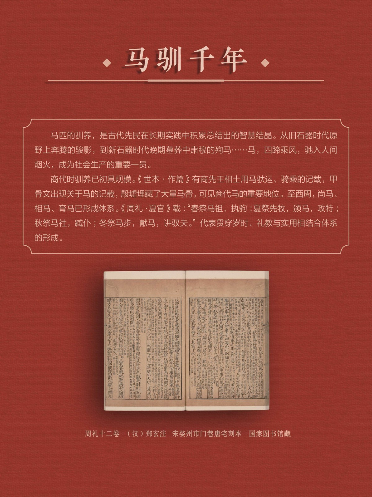 马0011_Jc_Jc_Jc.jpg?v=1774471765826