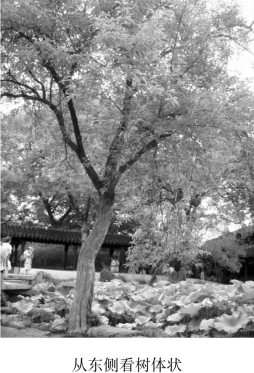 pagenumber_ebook=72,pagenumber_book=72