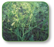 pagenumber_ebook=20,pagenumber_book=7