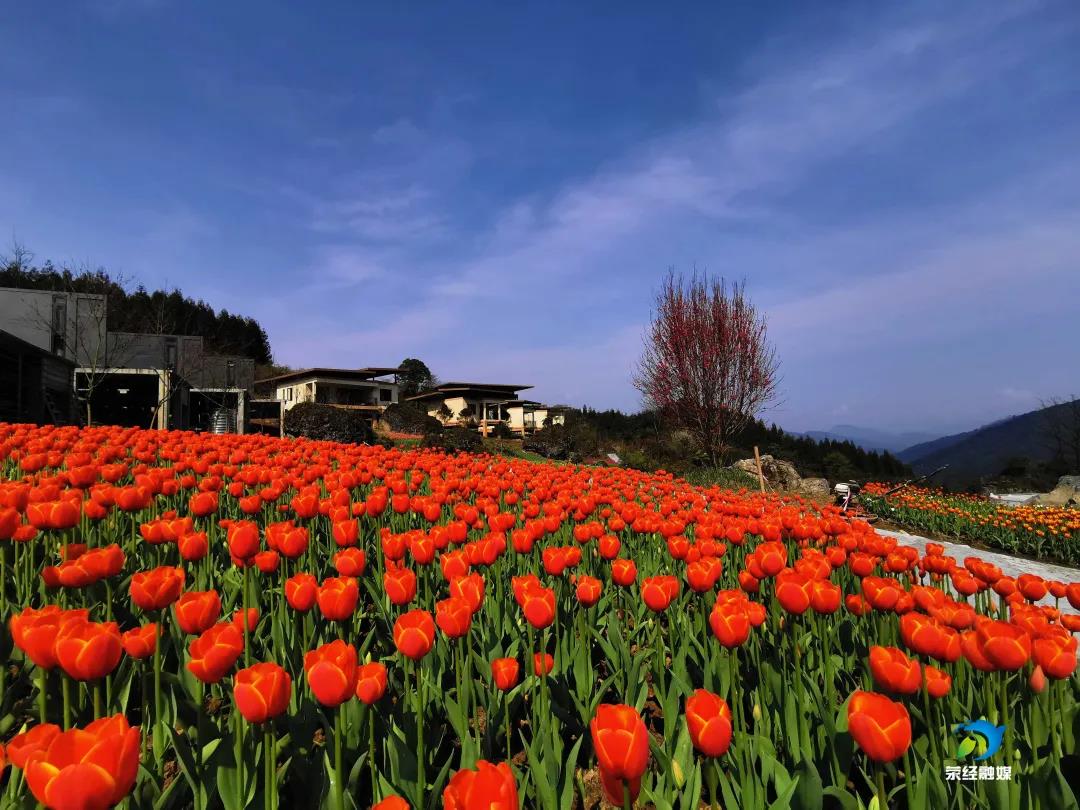 微信图片_20201204144542 微信图片_20201204144542.jpg