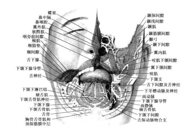 pagenumber_ebook=116,pagenumber_book=107