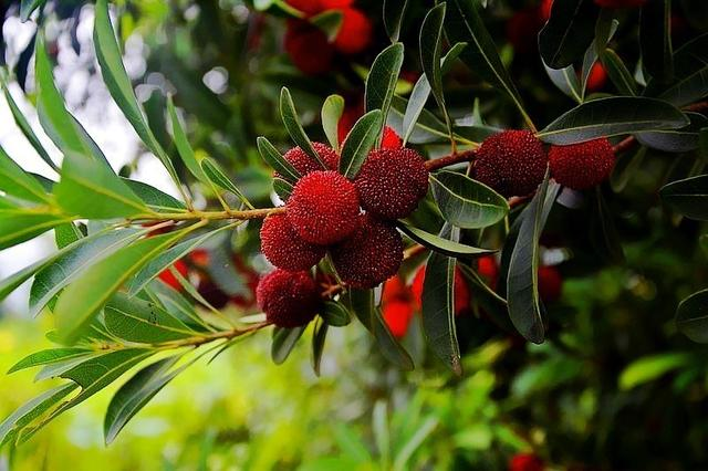 微信图片_20210601094940 微信图片_20210601094940.png