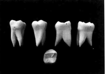 pagenumber_ebook=212,pagenumber_book=203