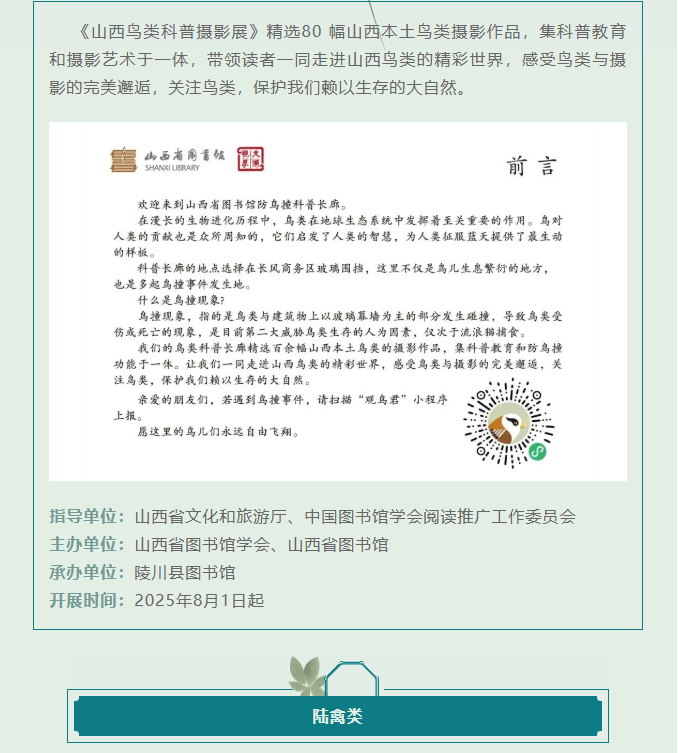 image.png?v=1757830673198
