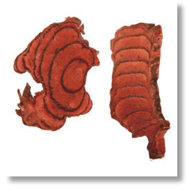 pagenumber_ebook=187,pagenumber_book=174