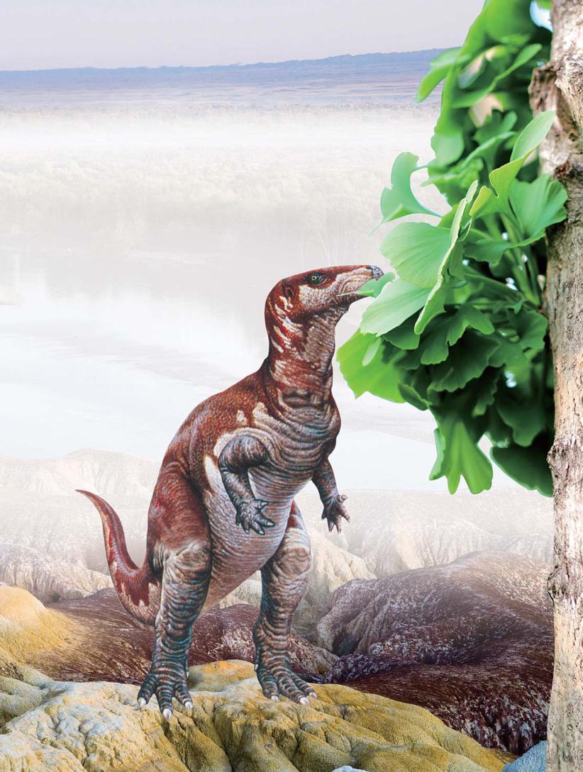 pagenumber_ebook=132,pagenumber_book=121