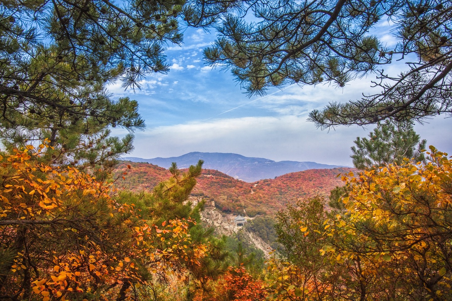 JIN_4247 JIN_4247.jpg