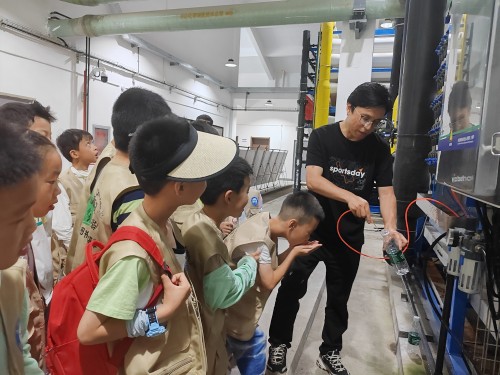 205d9a59f96eede980d2534a560524bc 205d9a59f96eede980d2534a560524bc.jpg?v=1762500626217