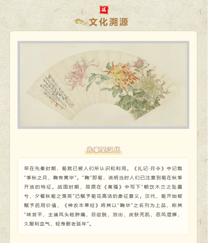 image.png?v=1762100057603