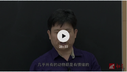 图片1 图片1.png?v=1762252241762