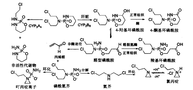 pagenumber_ebook=364,pagenumber_book=346