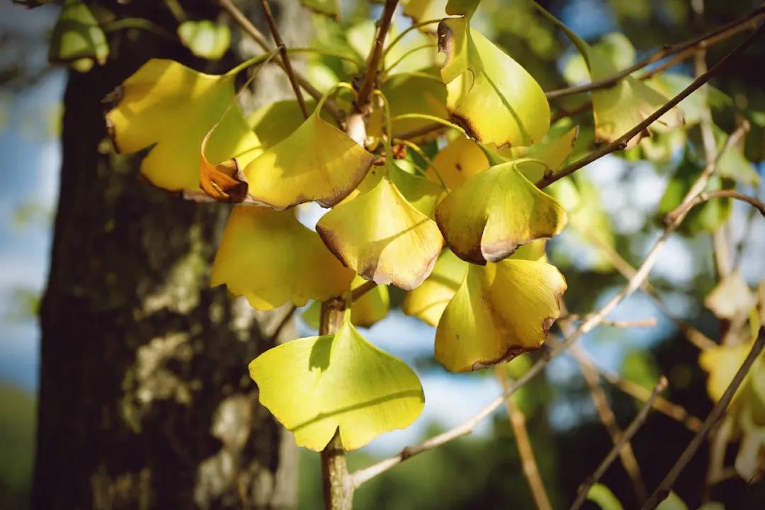 微信图片_20201124234006