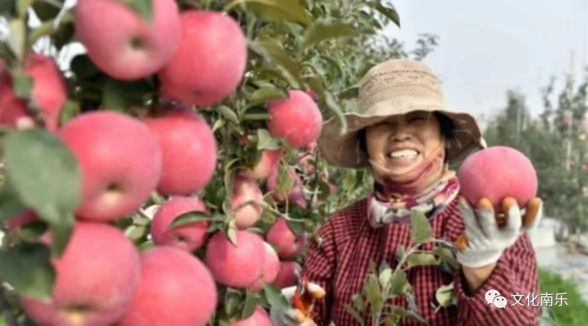 微信图片_20241010152410 微信图片_20241010152410.jpg