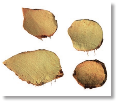 pagenumber_ebook=195,pagenumber_book=182