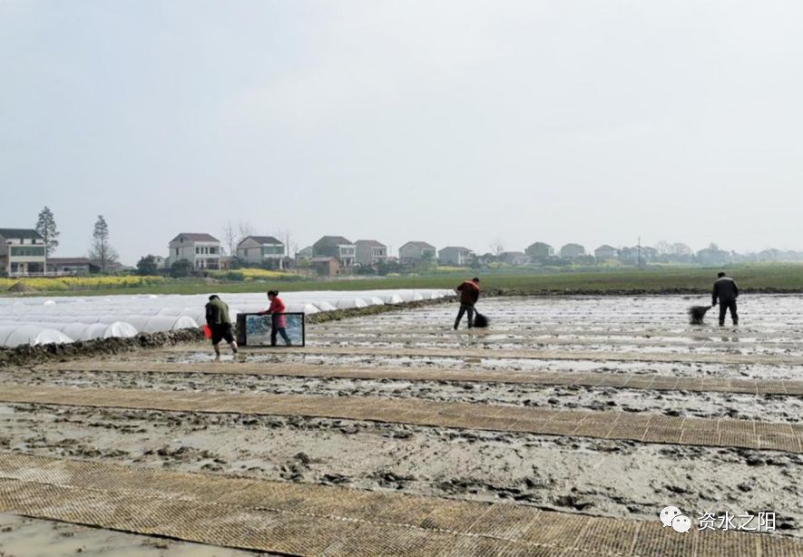 1 1.jpg?v=1765946740506