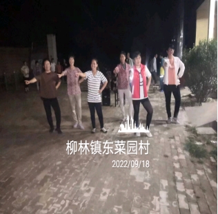 【冠县】柳林镇我们的中国梦、文化进万家