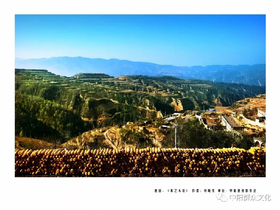 640.webp (7).jpg?v=1764880118725