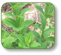 pagenumber_ebook=218,pagenumber_book=205