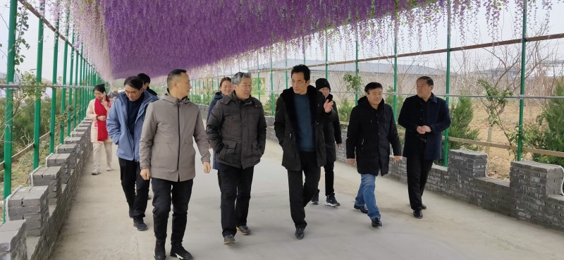 conew_img20201209120645 conew_img20201209120645.jpg