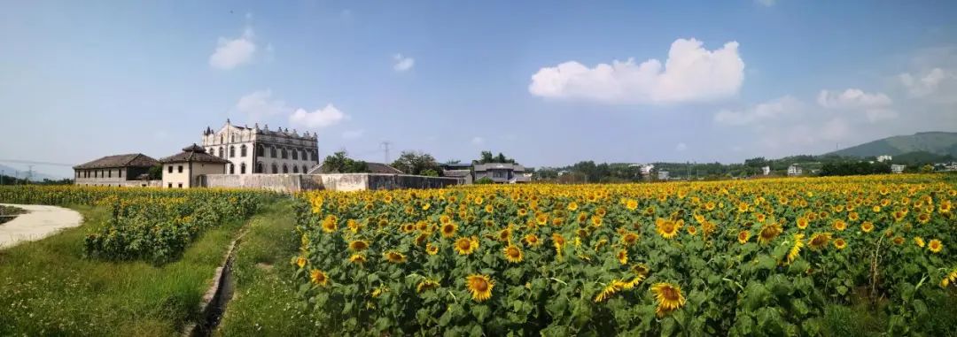 2022-12-28_我是武宣,请叫我“广西全域旅游示范区”!_6 2022-12-28_我是武宣,请叫我“广西全域旅游示范区”!_6.jpg