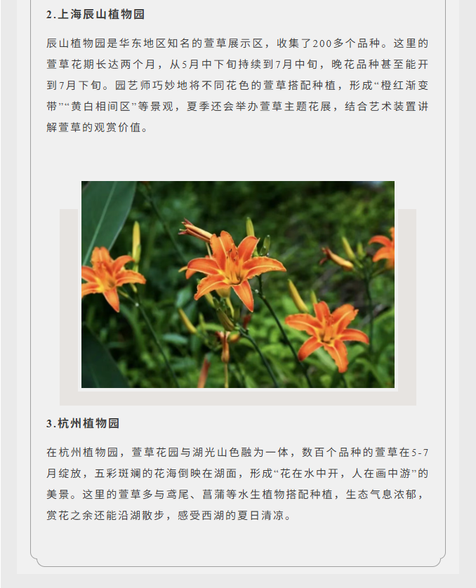 image.png?v=1766280841991