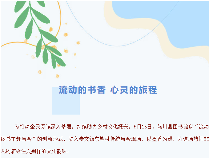 image.png?v=1751557700296