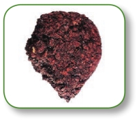 pagenumber_ebook=193,pagenumber_book=180