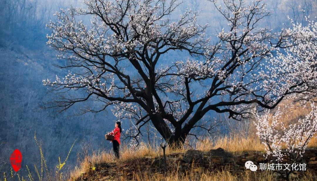 微信图片_20200713093928
