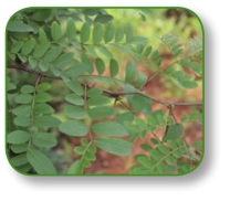 pagenumber_ebook=202,pagenumber_book=189