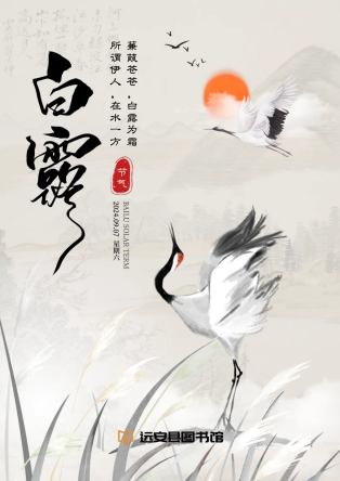 image image.png?v=1770174984872