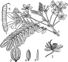 pagenumber_ebook=84,pagenumber_book=84