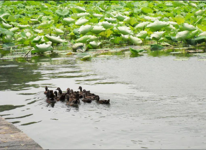 1679384905393 1679384905393.jpg?v=1763143302253