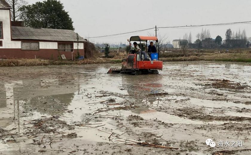 2 2.jpg?v=1765966964326