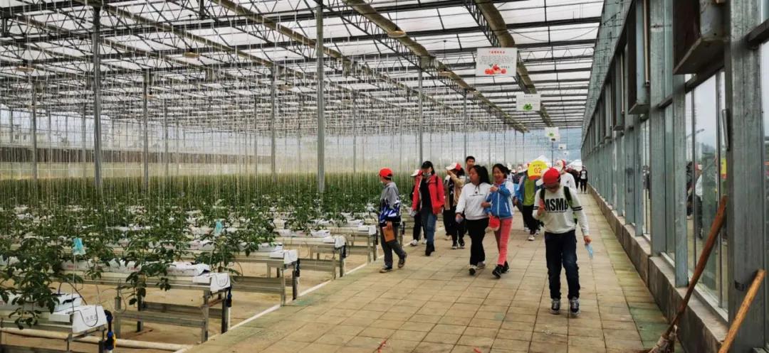 微信图片_20201022220513 微信图片_20201022220513.jpg