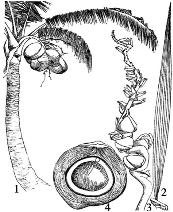 pagenumber_ebook=114,pagenumber_book=114