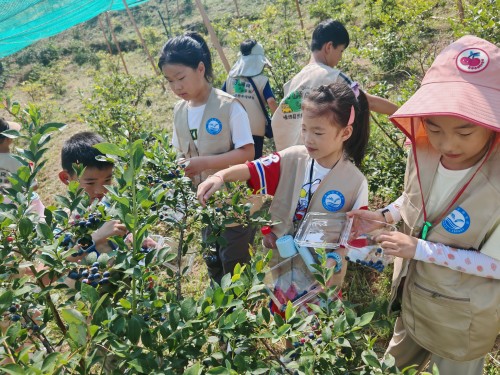 IMG_20250816_091424 IMG_20250816_091424.jpg?v=1765044483149