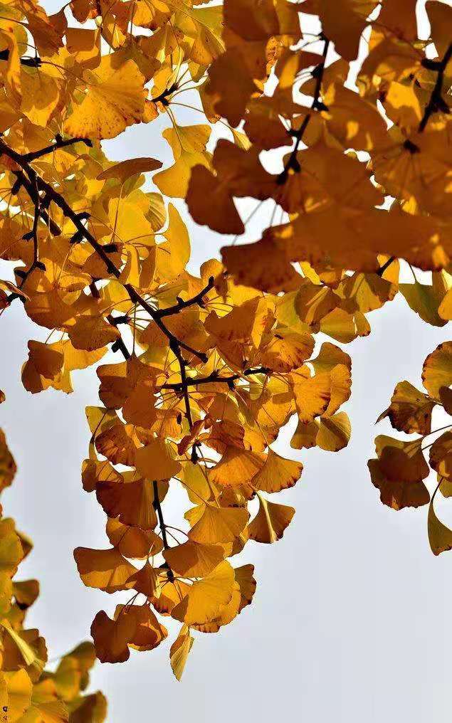 a5fdbc20a26a4e5422a67c94e39e49b