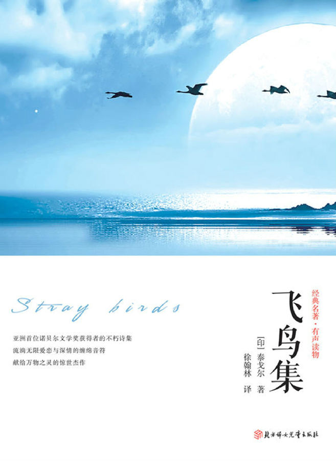 飞鸟集.jpg?v=1764880119981