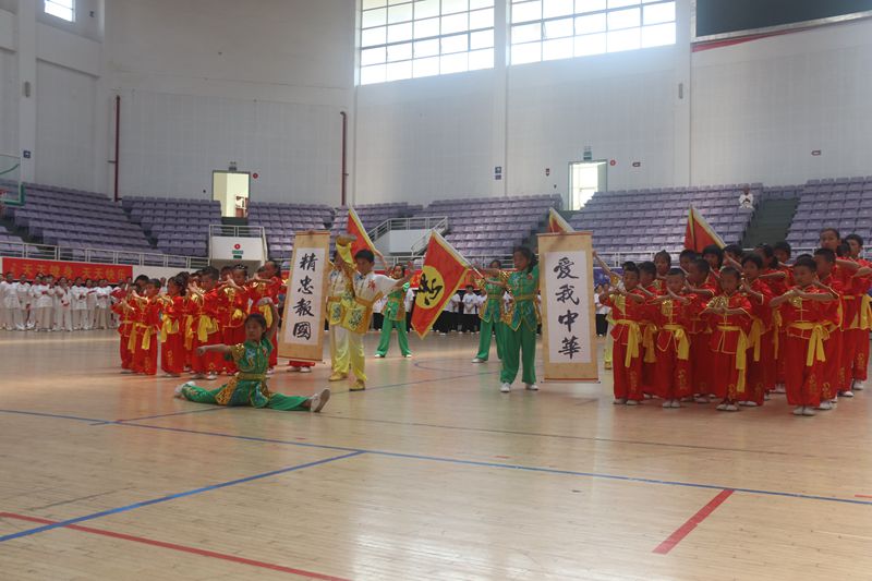 岳家拳展示 曹锦军.jpg