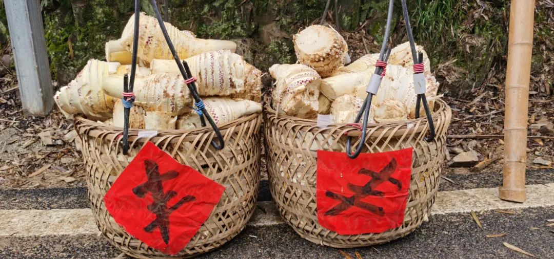 3 3.jpg?v=1765925638074